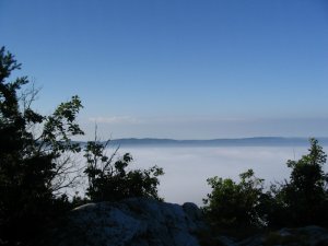 Above fog 1