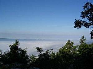 Above fog 2